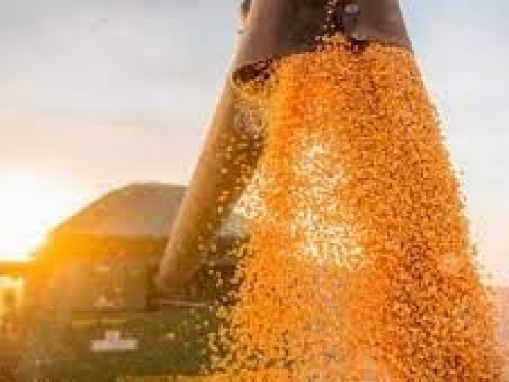 Processamento de soja cresce no primeiro bimestre de 2022 e exportações batem recorde 