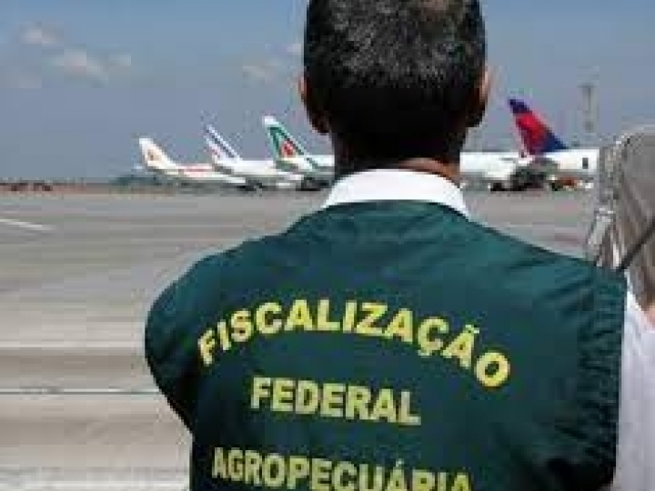 Sem avanço na negociação com governo federal, auditores agropecuários reavaliam mobilização