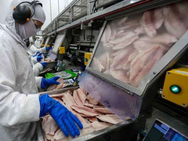 Carne de peixe tem potencial para liderar consumo no Brasil