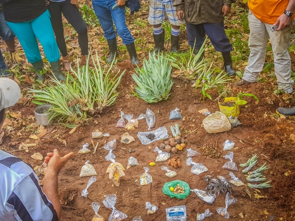 Muvuca de Sementes PRETATERRA. Foto: Divulgação