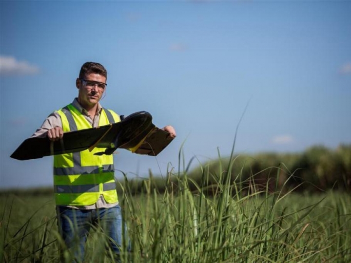 Tereos cria área para intensificar acompanhamento diário em seus canaviais e abre 16 novas vagas
