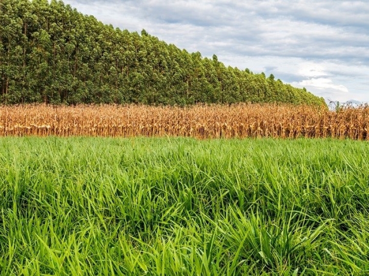 VLI e Embrapa estabelecem parceria para implementar programa de desenvolvimento territorial sustentável baseado em agroinovação