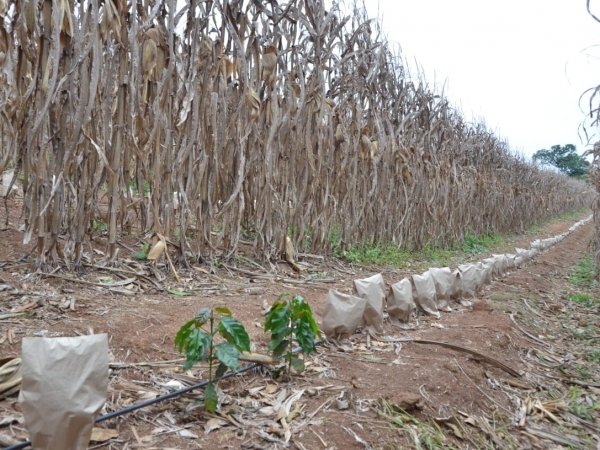 Fotos: Rodrigo Di Carlo 