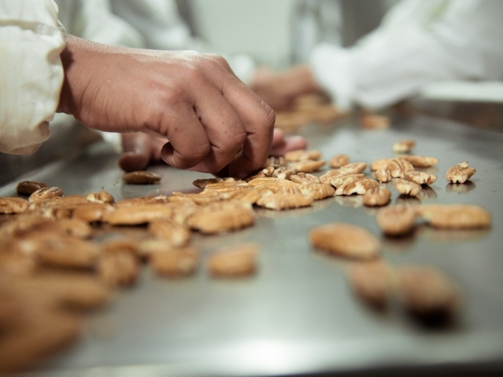 Brasileiros buscam novos mercados para a noz-pecã em Dubai