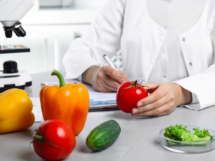 Mapa lança programas para controle das cadeias produtivas dos produtos de origem vegetal