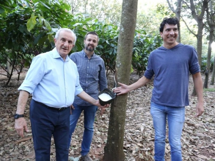 Secretário de Agricultura e Abastecimento do Estado de São Paulo visita fazenda que utiliza o sistema de integração cacau-seringueira 