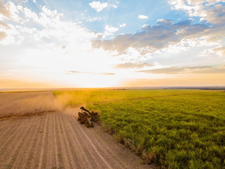 Projeções favoráveis para a próxima  safra canavieira no Norte e Nordeste