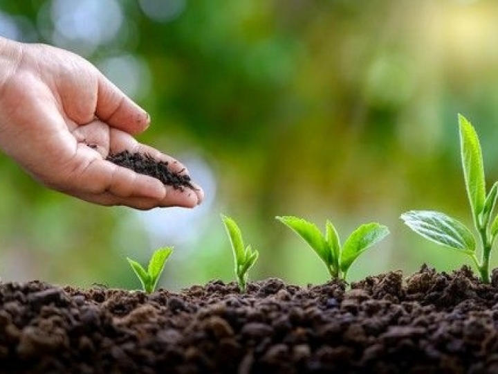 Brasil segue importando da Rússia