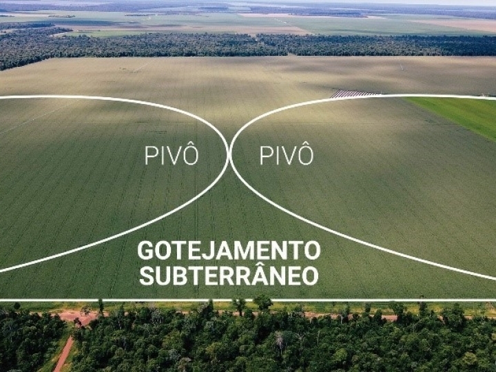 Novidades Netafim em irrigação por gotejamento na AgroBrasília
