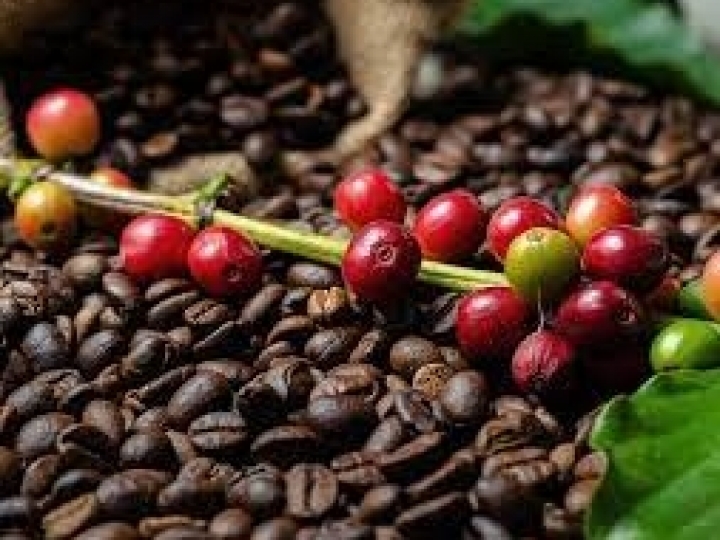 Café, uma das preferências nacionais 