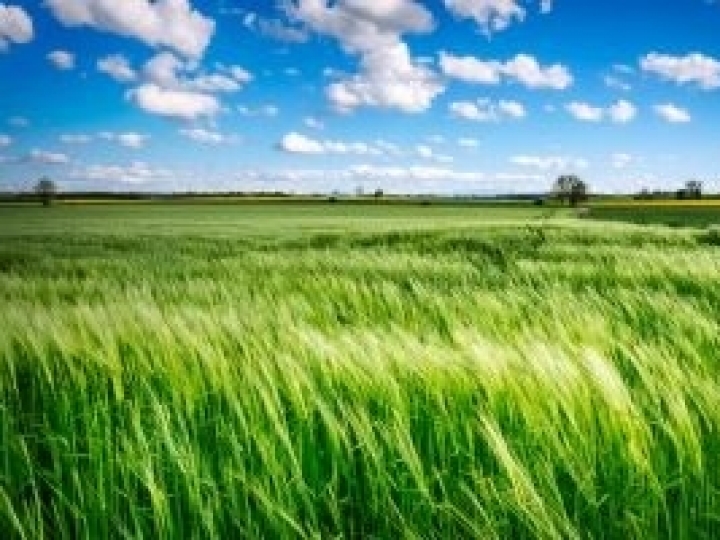 Tecnologia ajuda na compra de fertilizantes, defensivos e sementes