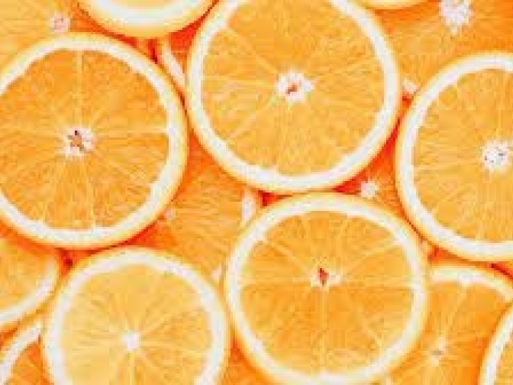 Queda na produção da Flórida pode se transformar em “oportunidade perdida para o Brasil”