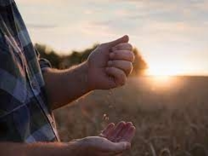 CNA reforça necessidade de R$ 1,7 bilhão em recursos para o Seguro Rural em 2022