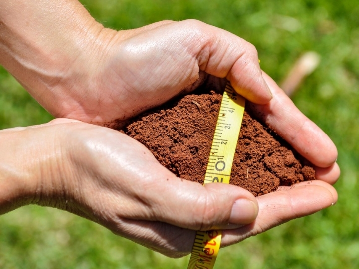 Nova regra aperfeiçoa o Zoneamento Agrícola de Risco Climático (Zarc)