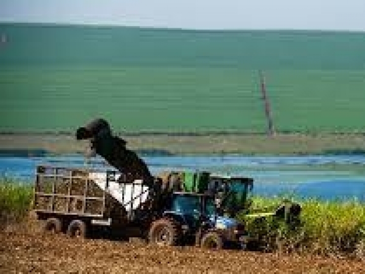 Raízen lança programa de desenvolvimento para micro e pequenos fornecedores