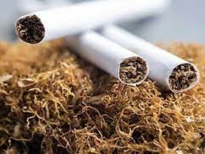 Diversificação rende R$ 779 milhões para os produtores de tabaco no Sul do País 