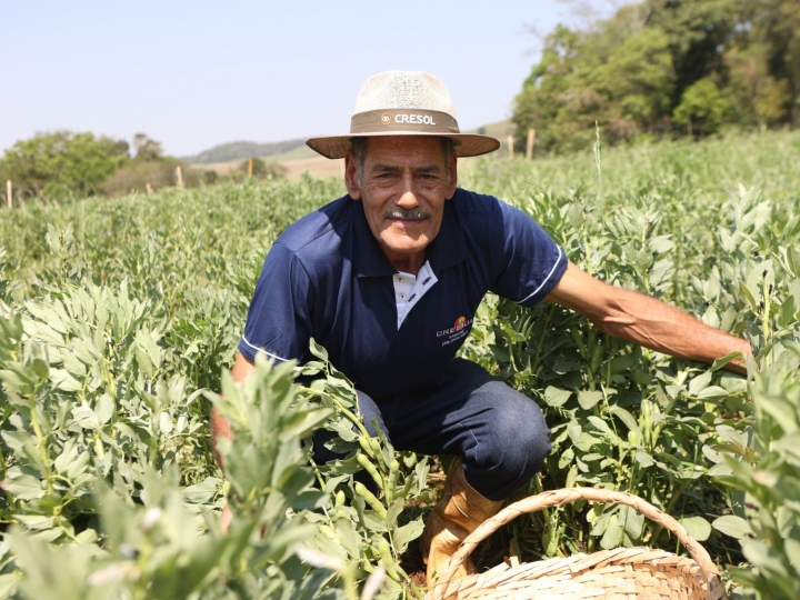 Linhas de créditos sustentáveis impulsionam pequenos agricultores e a preservação ambiental