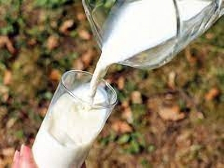 Irrigação é peça-chave na produção leiteira