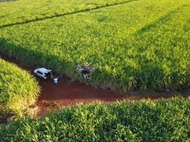 BP Bunge Bioenergia reduz dependência de fertilizantes químicos nos canaviais 