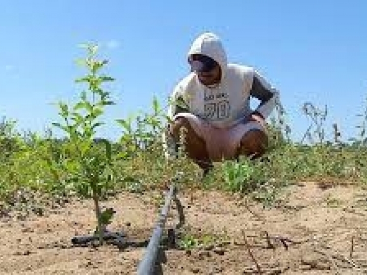 Senar abre vagas para cursos técnicos 