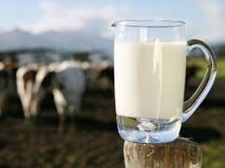 Dia do Leite: lucro líquido de produtores pecuários aumenta em até 220% com capacitações técnicas