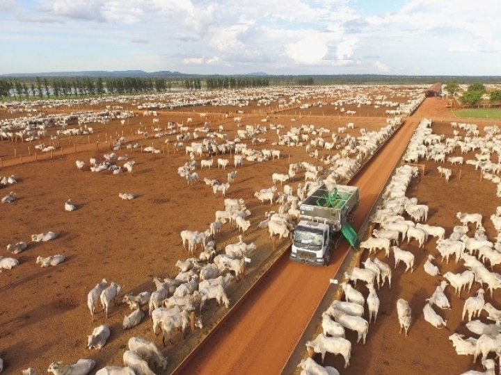 Casale participa de expedição que busca mapear a realidade da pecuária intensiva no país