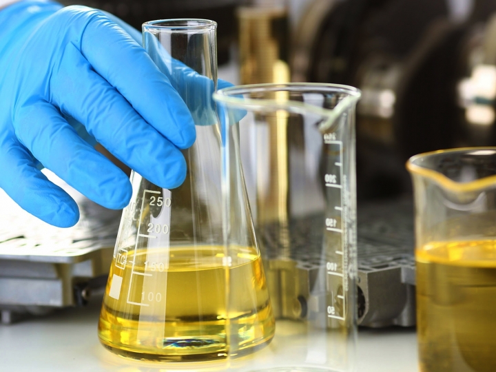 Produção de biodiesel gera renda, emprego e benefícios sociais à agricultura familiar 