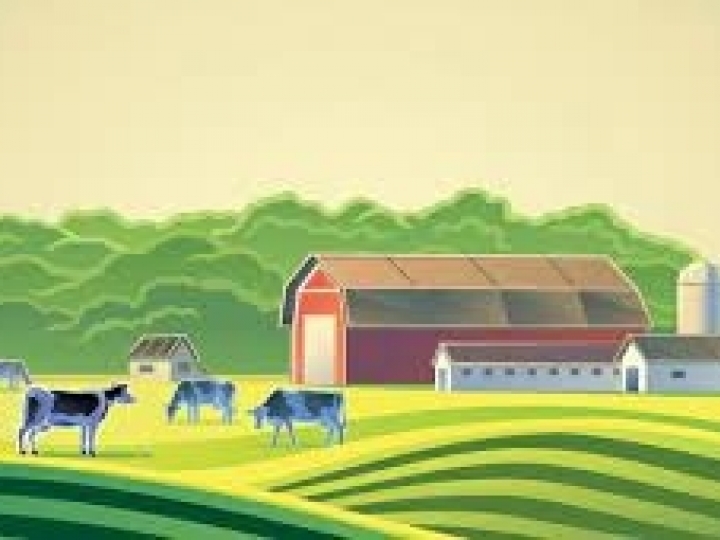 Prazo de entrega da declaração do ITR