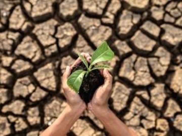 Biológicos são essenciais contra estresses climáticos do inverno