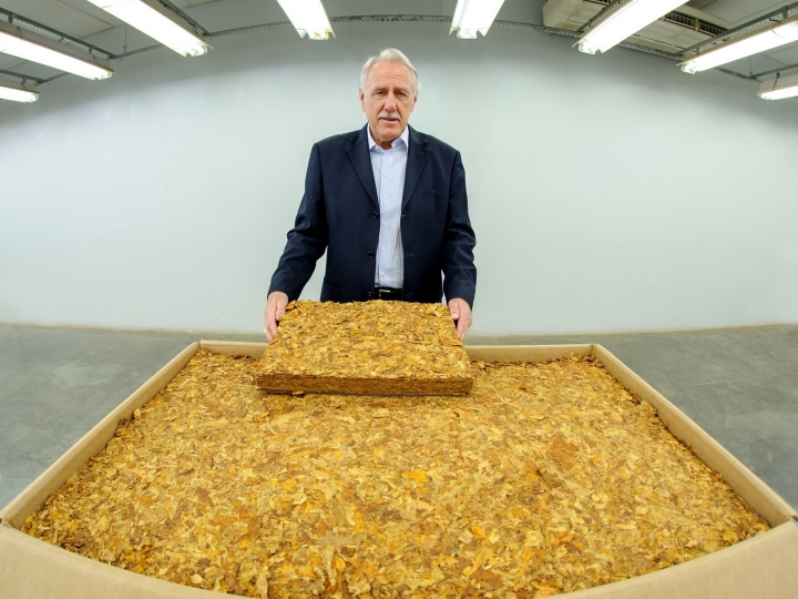 Tabaco brasileiro é aprovado em pré-inspeção chinesa