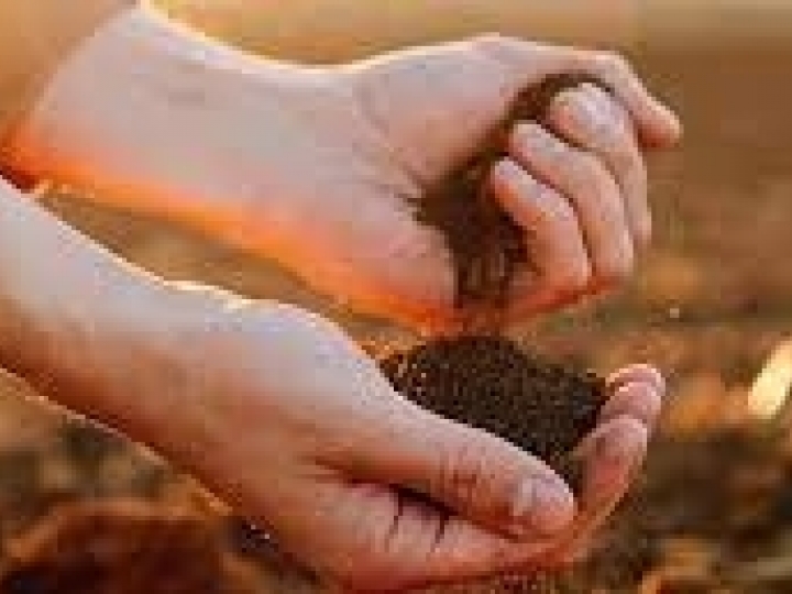 Insumos agropecuários faturaram R$ 112,6 bilhões em 2021