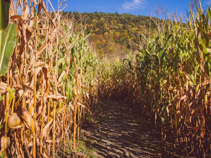 Grupo Açotubo apresenta soluções para o setor de bioenergia na Fenasucro & Agrocana 2022