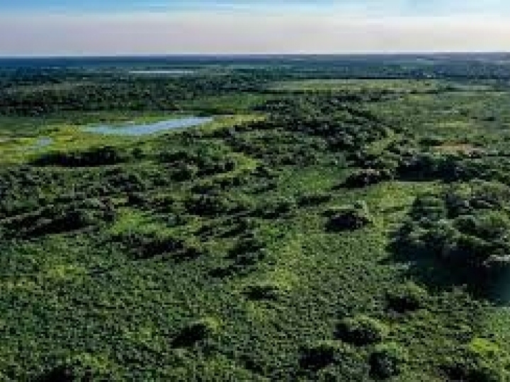 Portal Saberes da Floresta disponibiliza oito cursos on-line e gratuitos