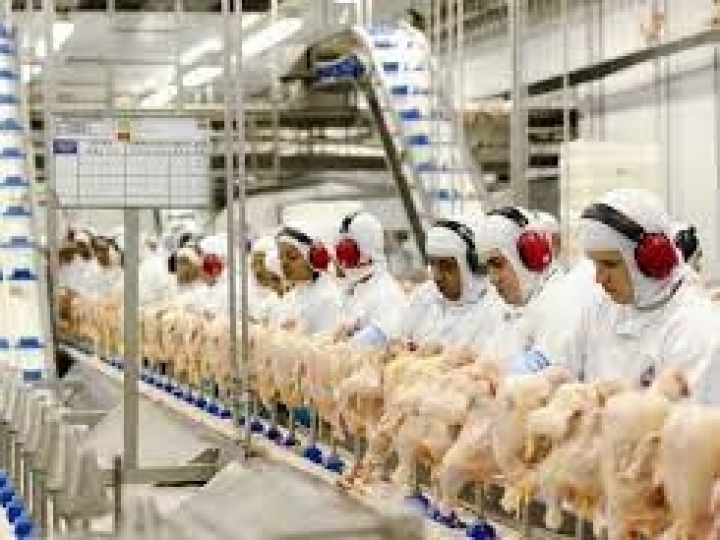 Conab aponta tendência de exportação recorde de carne de frango em 2022