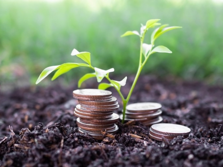 Desembolso do crédito rural somou R$ 25,8 bilhões em julho