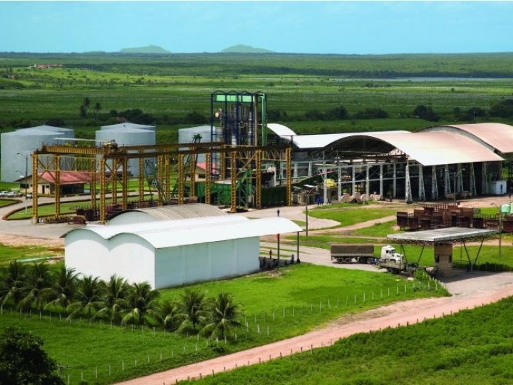 Ceará Mirim Agroindustrial investe em recuperação de canaviais aliada à tecnologia e sustentabilidade 