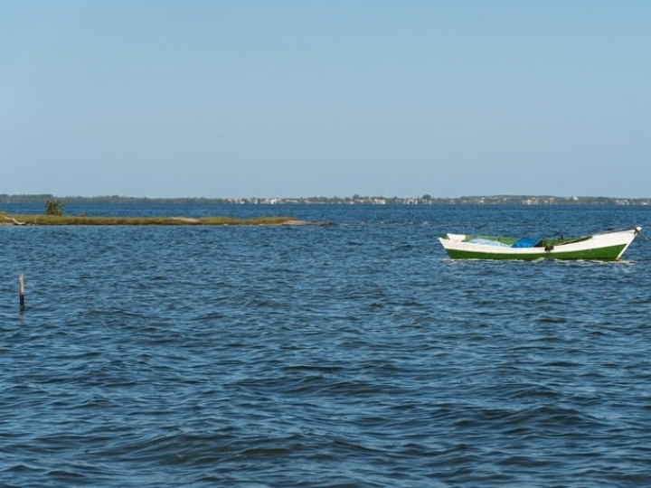 Período de defeso de camarões na Lagoa de Araruama (RJ) é alterado