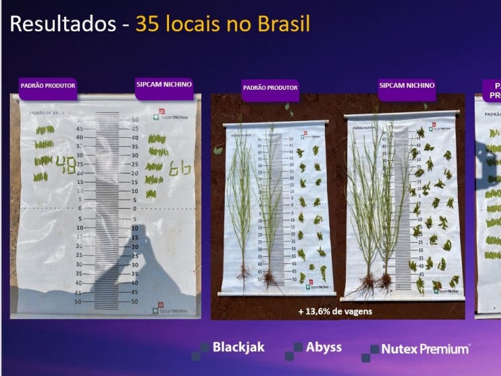 Mais de 140 trabalhos a campo respaldam desempenho de nova plataforma de bioestimulantes