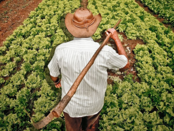 Cresce a necessidade do uso de tecnologias para impulsionar o crescimento da agricultura familiar   