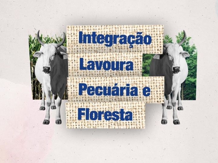 Pilar da agricultura regenerativa, integração entre lavoura-pecuária-floresta (ILPF) contribuir é chave para a evolução da agenda ESG do setor