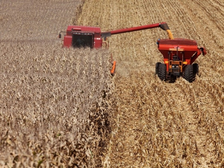 Valor da produção agropecuária de 2022 está estimado em R$ 1,207 trilhão