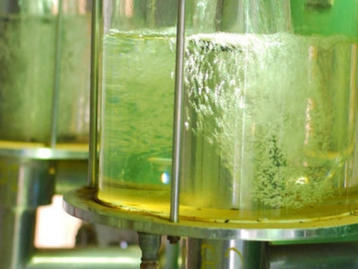 Produtor de cana mostra caminhos para queda no preço do álcool