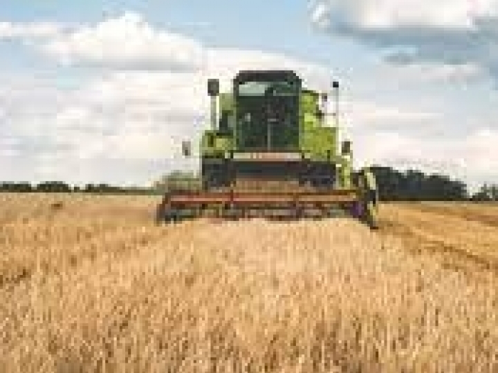 O Brasil pode alimentar mais de 1 bilhão de pessoas, sem desmatar