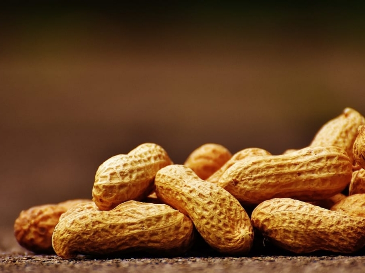 China abre mercado para amendoim do Brasil