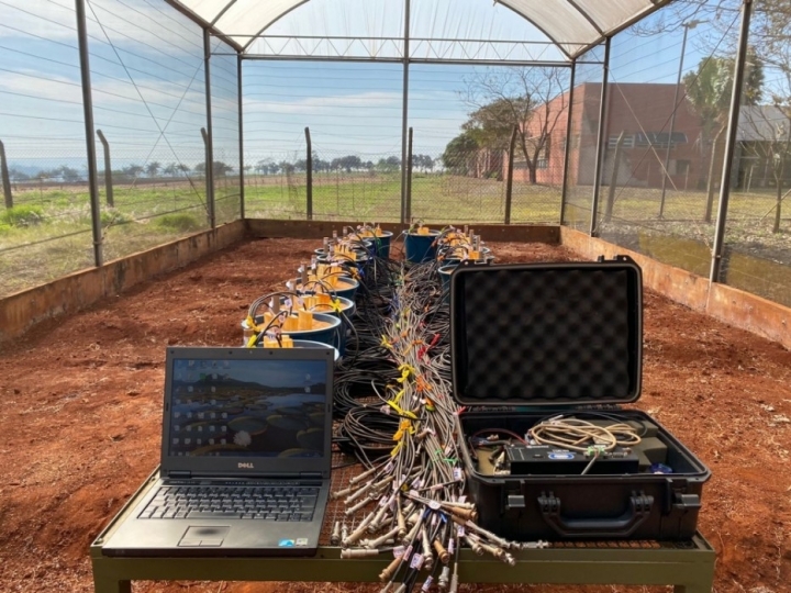 Grupo usa celulose para retardar a liberação de fertilizantes no solo e criar vasos autofertilizantes