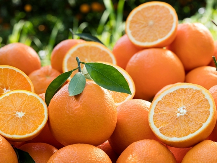 Conab promoverá incentivo de apoio à comercialização da laranja no Rio Grande do Sul