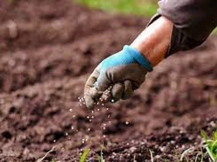 Índice de Poder de Compra de Fertilizantes registra baixa e favorece a compra de adubos