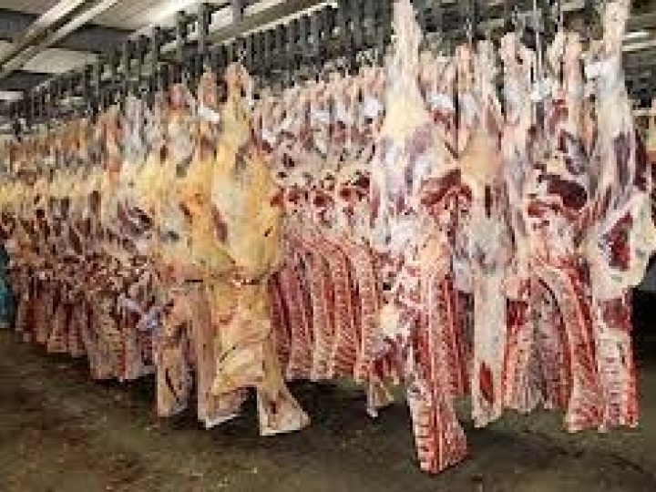 Em MS formas de comercialização com frigoríficos, podem variar em até R$ 450 por animal