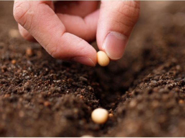 Insumos biológicos levam multifuncionalidade e eficiência à cultura de grãos