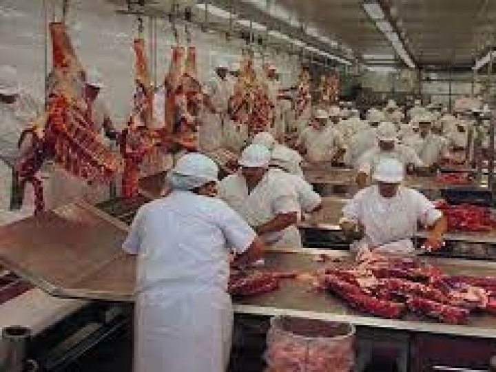 Em MS formas de comercialização com frigoríficos, podem variar em até R$ 450 por animal